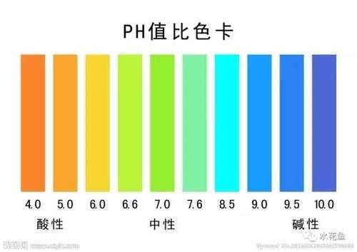 难溶碱是什么色（难溶性碱及其颜色）