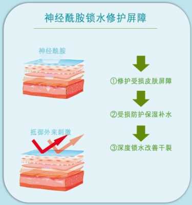 神经酰是什么原因（神经酰胺是什么作用）