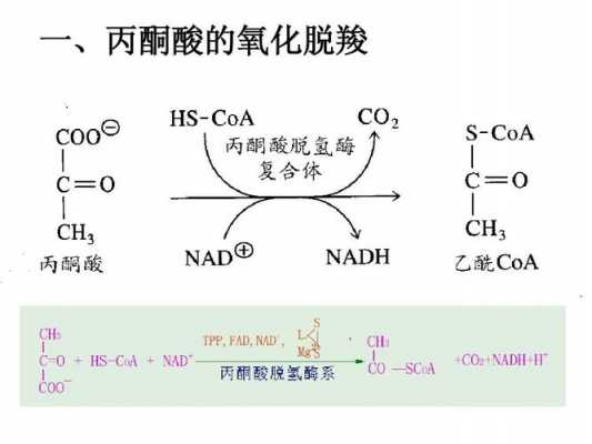 丙酮为什么是甲基酮（丙酮基丙酮）