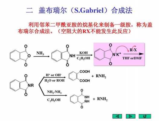 酰亚胺为什么是碱性（酰亚胺与碱反应）