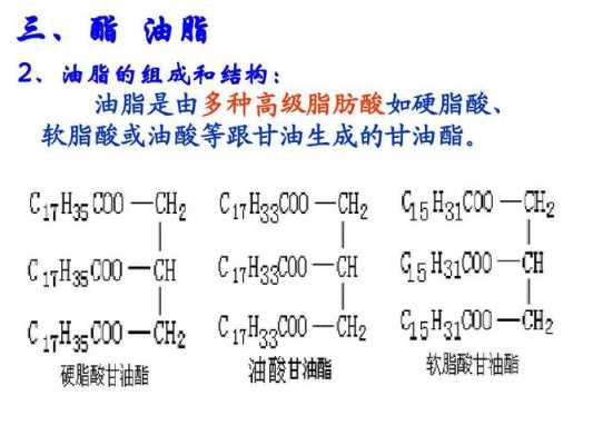 半酯是什么（半脂是什么意思）