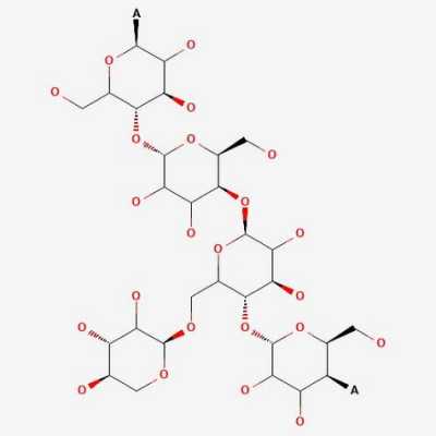 木葡聚糖是什么东西（木糖葡聚糖）