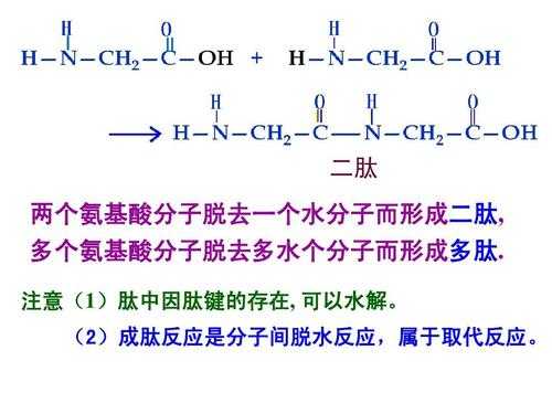 蛋白质与什么反应产生什么（蛋白质与什么发生反应）