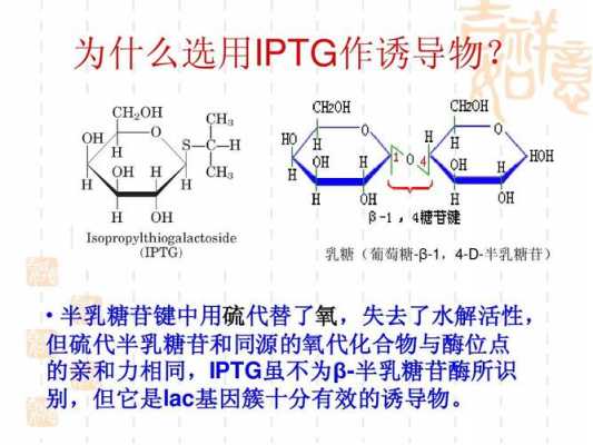 iptg用什么溶解（lps用什么溶解）