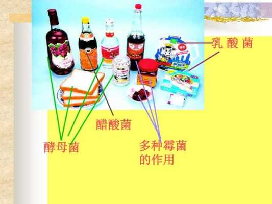 乙酸跟乳酸什么区别（乙酸 乳酸）