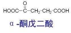 什么是a-酮戊二酸（a酮戊二酸的作用）