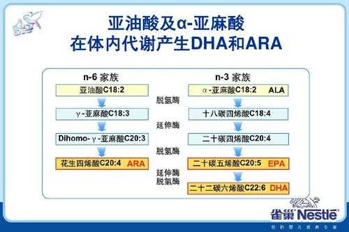 -6亚油酸什么意思（亚油酸3和6）