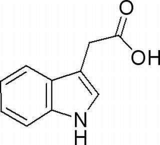 吲哚酸是什么（吲哚乙酸是什么）