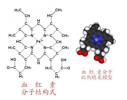 卟吩铁是什么（铁卟啉怎么读）