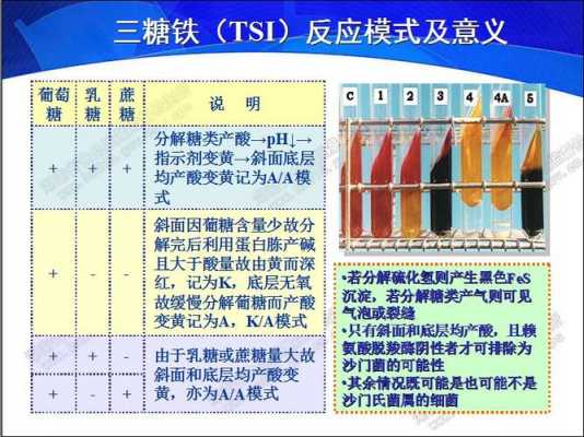 三价铁显色反应为什么加酸（三价铁为什么显酸性）