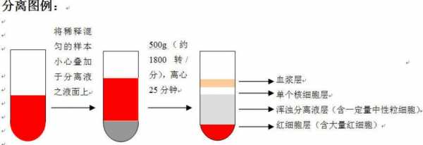 为什么要裂解红细胞（为什么要裂解红细胞或者用PBMC）