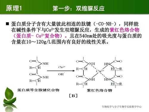 folin酚试剂为什么后面加入（folin酚试剂原理）