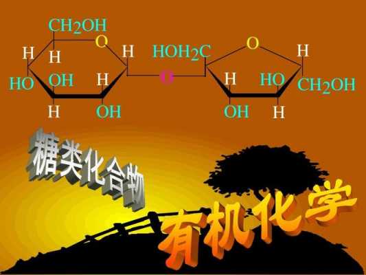 HO与OH是什么元素化学结构（h+和oh结合是什么）