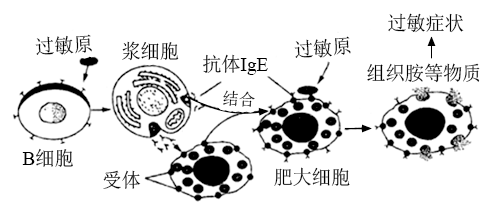 释放组织胺会引起什么（释放组织胺会引起什么症状）