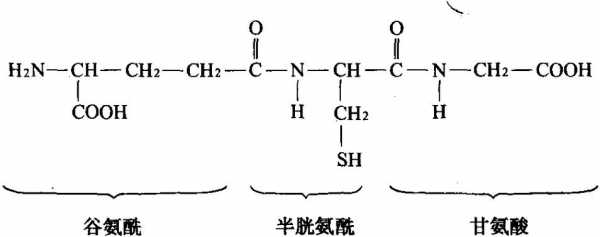 gsh化学里什么意思（化学中gsl是什么意思）