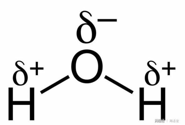 水结构式是什么（水结构简式）