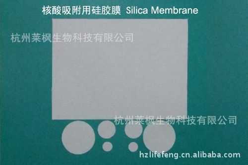 silica硅胶膜是什么（硅胶膜好吗）