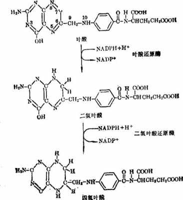 亚甲基氮氮是什么（亚甲基氨基）