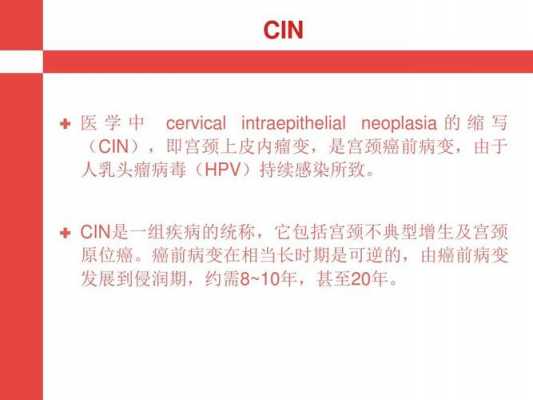 cin号是什么（cin0）