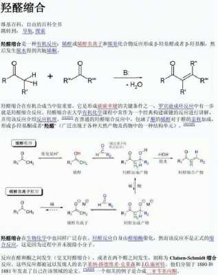 羟醛自身缩合是什么意思（羟醛缩合百度百科）