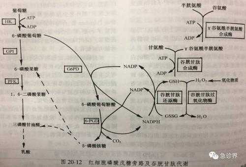 为什么吡啶碱性强于苯胺（为什么吡啶的碱性比嘧啶强）