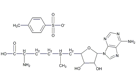 s腺苷蛋氨酸是什么（s腺苷蛋氨酸结构式）