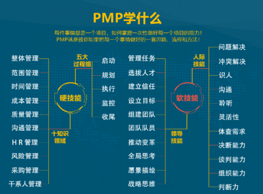 pmp是什么化学试剂（pmp化学里是什么意思）