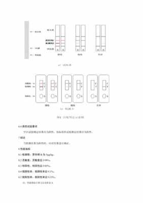 罗丹明b在什么ph下（罗丹明b的检测方法）