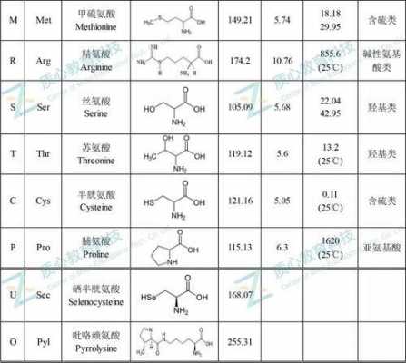 酰苯丙氨酸是什么意思（苯丙酰胺）