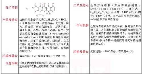 盐酸万古霉素带什么电荷（盐酸万古霉素用法用量）