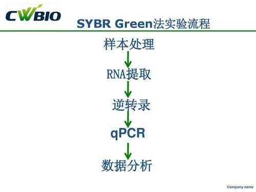 br有什么用处（br的使用方法）