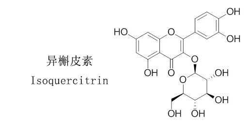 异槲皮苷是什么类化合物（异槲皮素与槲皮素区别）