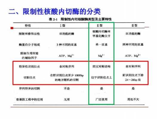 风味蛋白酶是什么性的（风味蛋白酶是内切酶还是外切酶）