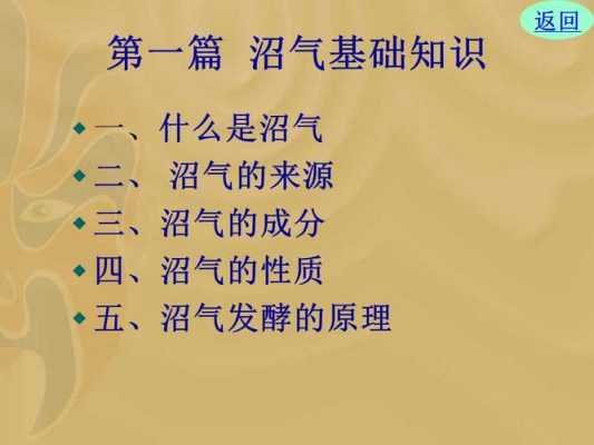 城市沼气的主要成分是什么（城市沼气的主要成分是什么呢）