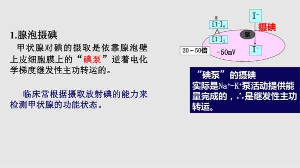 碘为什么不能和溴化镁（为什么碘可以取代溴）