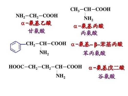 叔氨基团具有什么性质（氨基的基团）