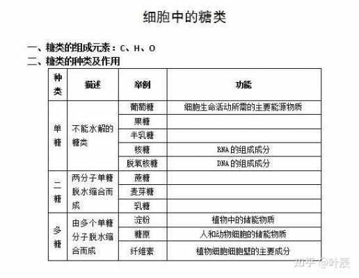 细胞膜上的糖叫什么（细胞膜中的糖类有哪些）