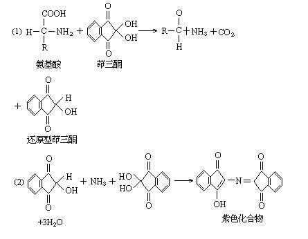 邻甲酚酞溶于什么（邻甲酚酞络合酮法原理）