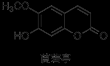 C10HH18O4是什么酯（c10h13n4o8p）