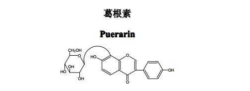 葛根素的结构类型是什么（葛根素的性质）