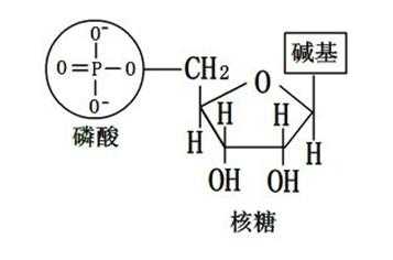 化学式c5h5n是什么化学品（c5h5n2是什么物质）