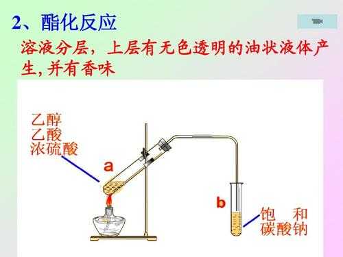 乙酸甲酯是什么状态（乙酸甲酯怎么形成）