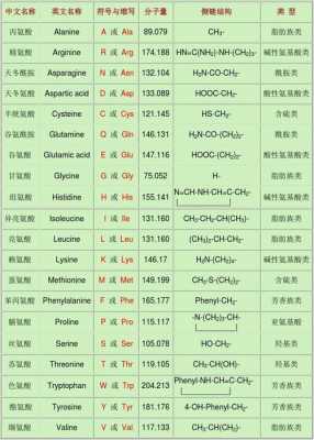 L什么氨基酸（哪种氨基酸）