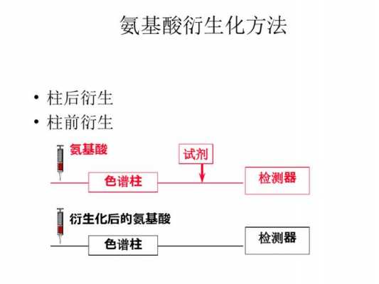 什么是柱后衍生系统（柱前衍生化方法）