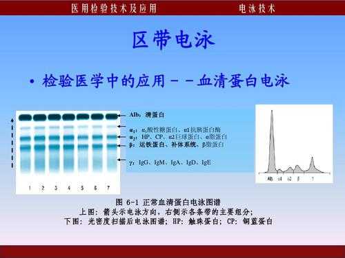 为什么羊抗人igg验孕是阳性（羊抗人igg抗体来源）