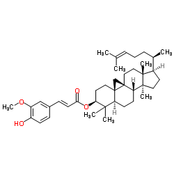 谷维素有分子什么（谷维素的构成）