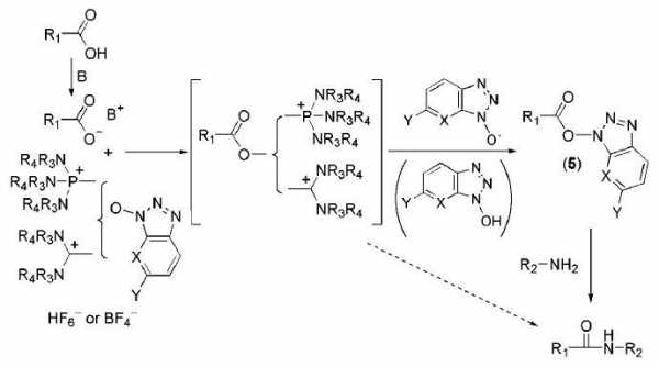 HOBT在化学反应中起什么作用（hbtu反应机理）