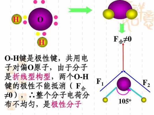 氯为什么不形成氢键（氯气为什么没有共价键）