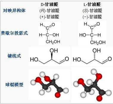 d()-甘油醛什么意思（d甘油醛和l甘油醛的关系是）