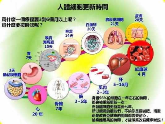 细胞不容易消化是为什么（细胞没消化好影响生长吗）